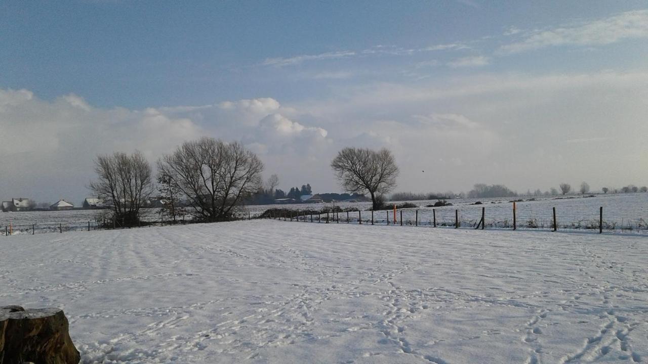 B & B Victors Hof, Met Zwemvijver In Landelijke Setting Lievegem Extérieur photo