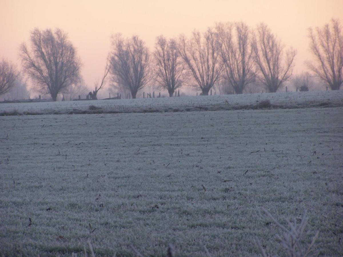 B & B Victors Hof, Met Zwemvijver In Landelijke Setting Lievegem Extérieur photo
