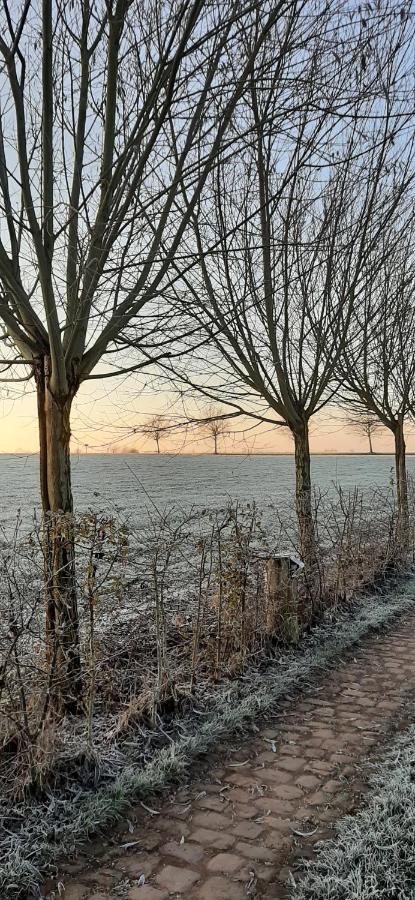 B & B Victors Hof, Met Zwemvijver In Landelijke Setting Lievegem Extérieur photo