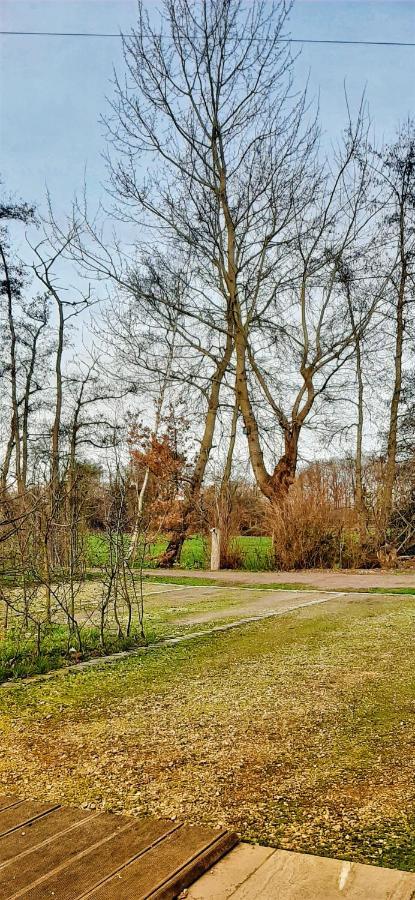 B & B Victors Hof, Met Zwemvijver In Landelijke Setting Lievegem Extérieur photo